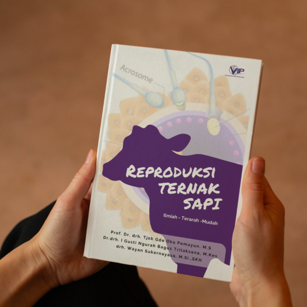 reproduksi ternak sapi